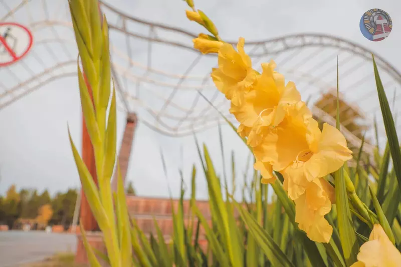 №71 для «Ямальский меридиан 16»