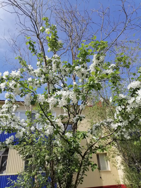 Изображение #22 для статьи «Ямальский меридиан 14»