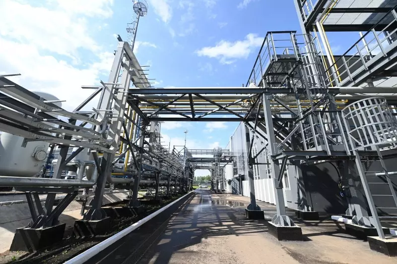 Изображение #3 для «изобретения: Татнефть первой в России наладила производство кормового белка из природного газа»