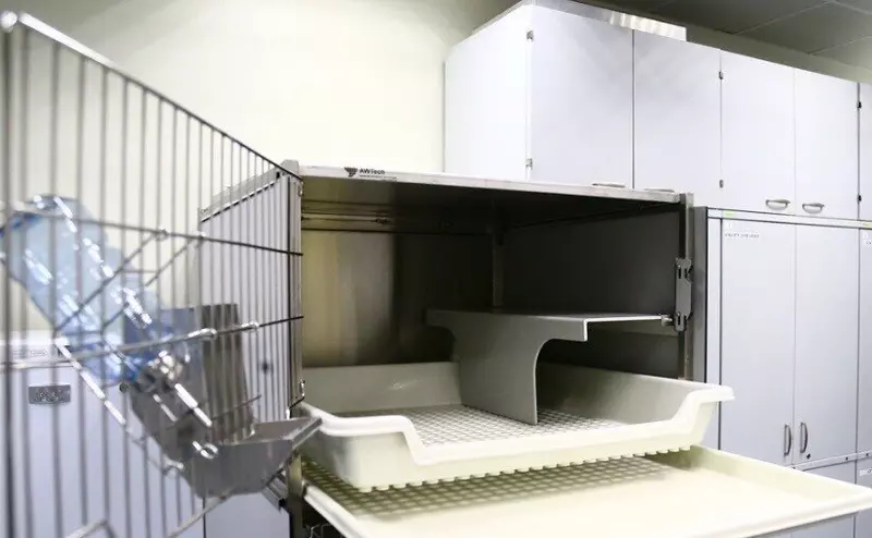 №4 для новости «лабораторные животные: Стеллаж Евразия Плюс подойдет для содержания сразу нескольких животных»