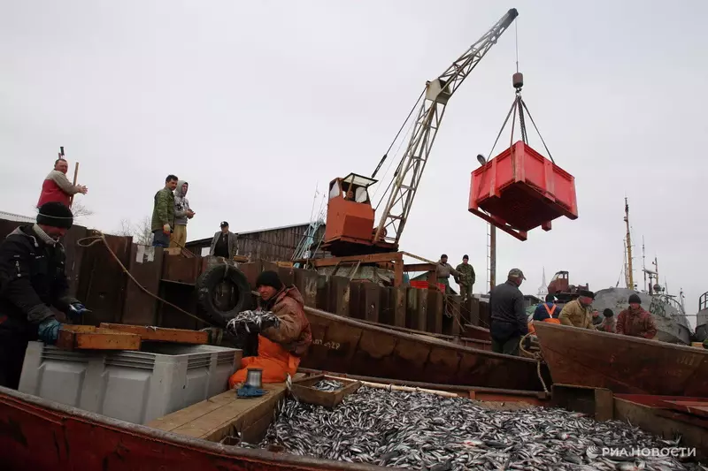 Россия нарастила экспорт моллюсков в 1 5 раза