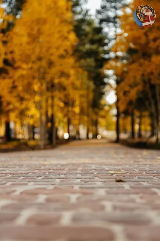 Иллюстрация #36 для новости «Четыре новых парка благоустроено в Ноябрьске»