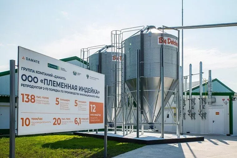 В Тюменской области запустили блок родительского стада племенного репродуктора индейки