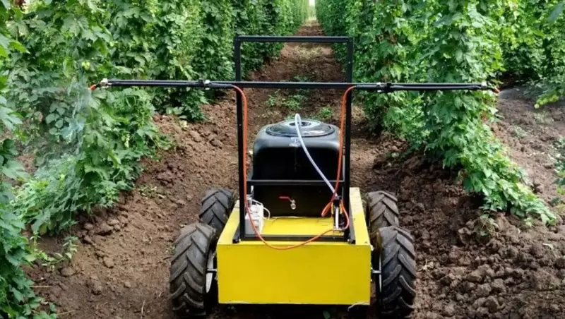 Картинка 10 для публикации «Российские компании во второй половине 2025 г»