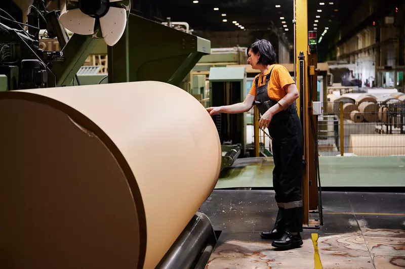 Карелия Палп