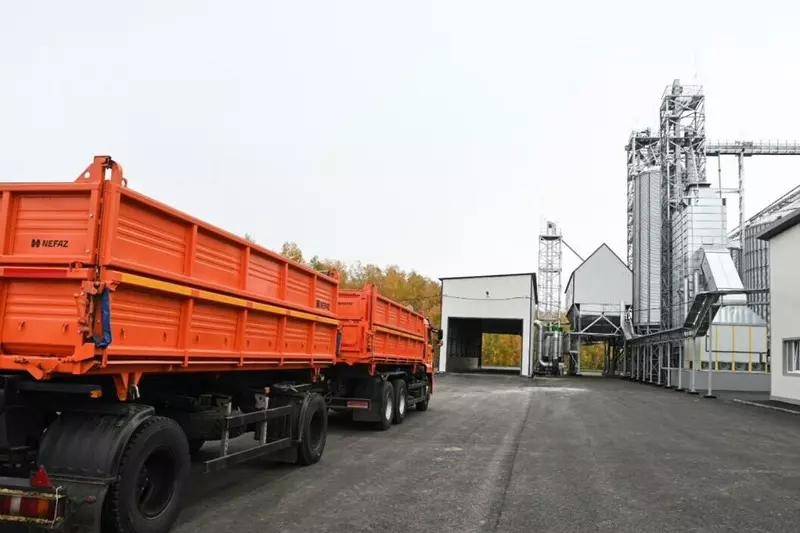 Иллюстрация №36 для «Тюменское импортозамещение часть 12»