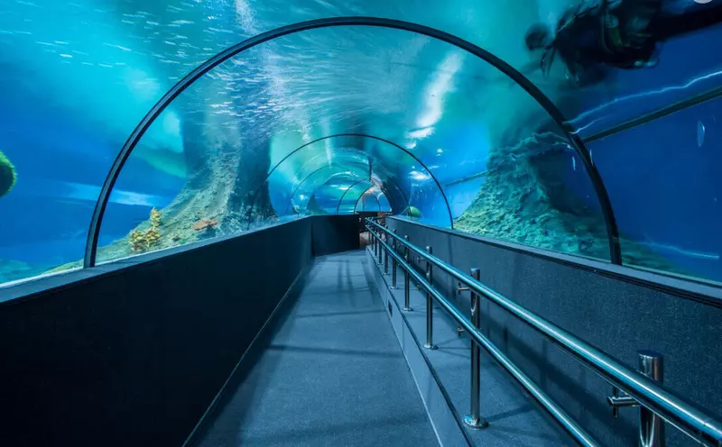 Фото №26 для публикации «Когалым моногород изменивший судьбу часть 1»