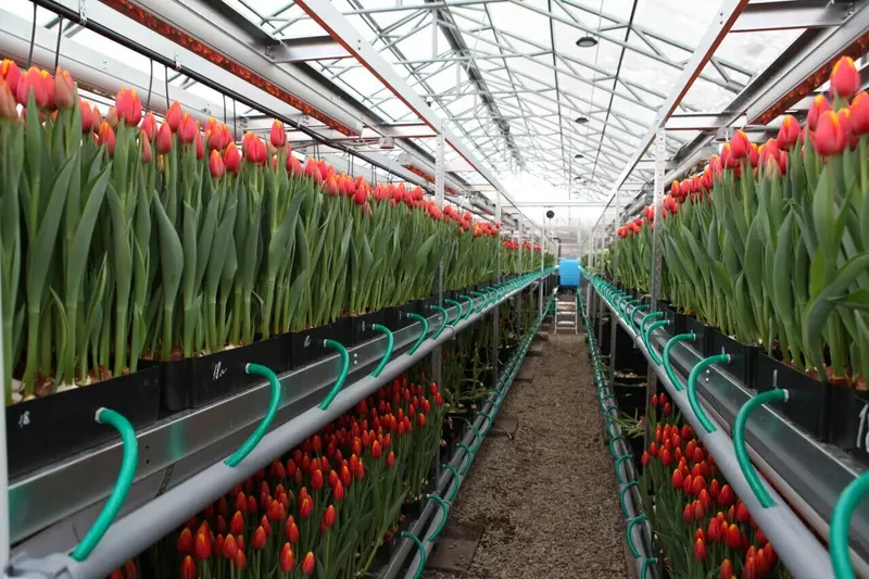 Фото №10 для новости «Иркутская область развитие экономики часть 4»