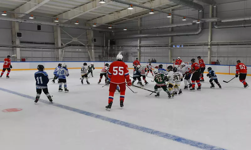 Иллюстрация 3 для новости «ледовый дворец: В Брянске состоялось торжественное открытие Ледового дворца Пересвет»