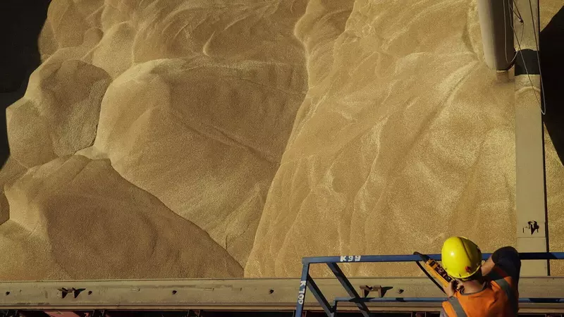 Кормилица Африки и Азии куда Россия экспортировала продовольствие в 2024 году