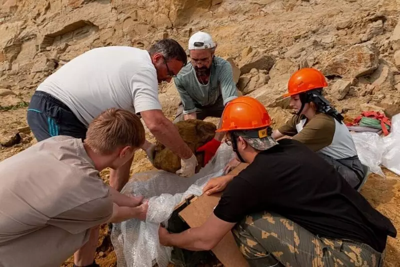 Иллюстрация №5 для публикации «В Кузбассе обнаружили уникальный янтарь возрастом более 100 млн лет»