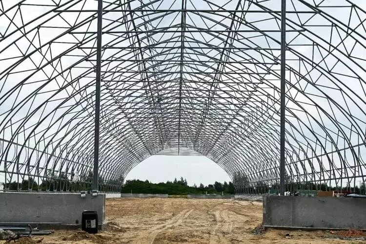 Изображение №10 для статьи «Тюменское предприятие запустило линию по посадке семян хвойных деревьев»