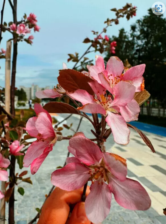 №20 для новости «Ямальский меридиан 14»