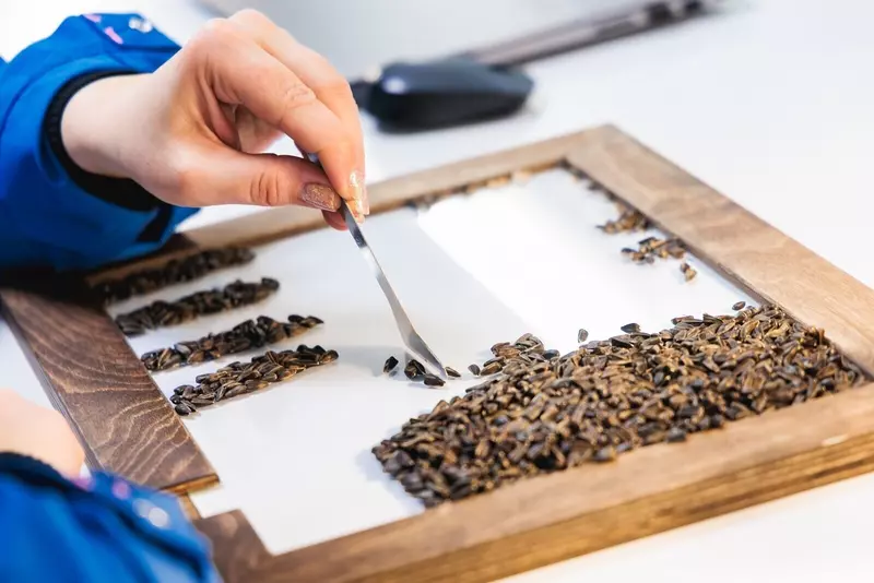 #2 для «ОЭЗ: Предприятия ОЭЗ Липецк обеспечивают аграриев региона семенами и средствами защиты растений»