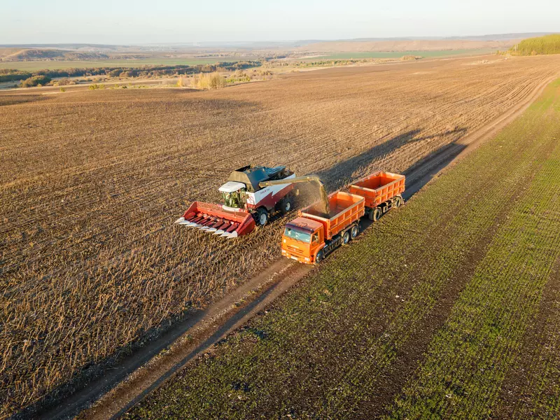 В агрофирмах холдинга АГРОСИЛА ведётся уборочная кампания 2025 года