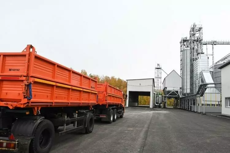 Картинка 2 для поста «Тюменская область: В Тюменской области открылся завод по глубокой переработке гороха»