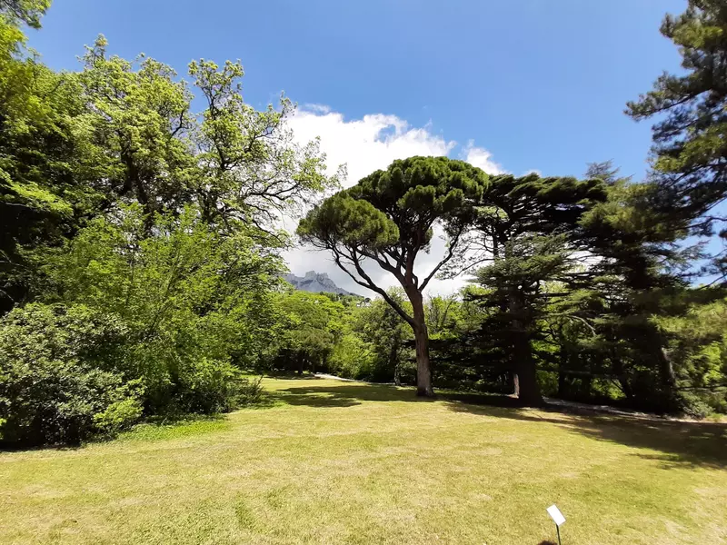 Иллюстрация №22 для публикации «Крым своими глазами»