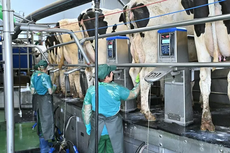 Иллюстрация №3 для публикации «Новый животноводческий комплекс на 3550 коров и 4630 молодняка открыли в Калужской области»