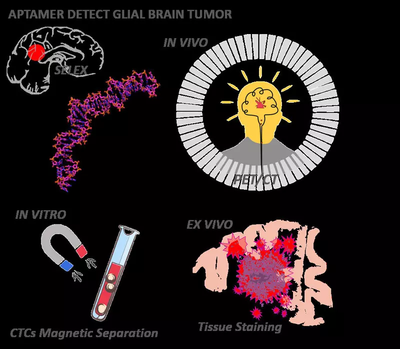 Изображение предоставлено авторами исследования