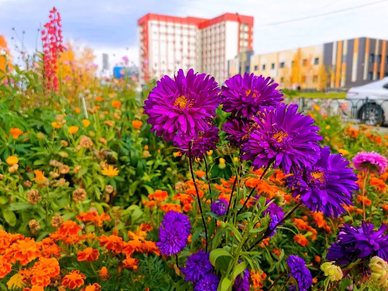 Иллюстрация #67 для «Ямальский меридиан 16»