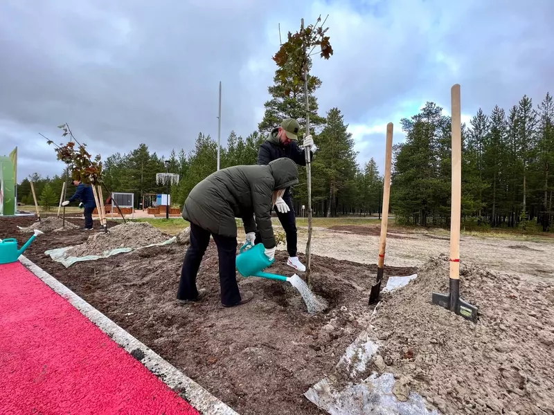 Иллюстрация #62 для поста «Ямальский меридиан 16»