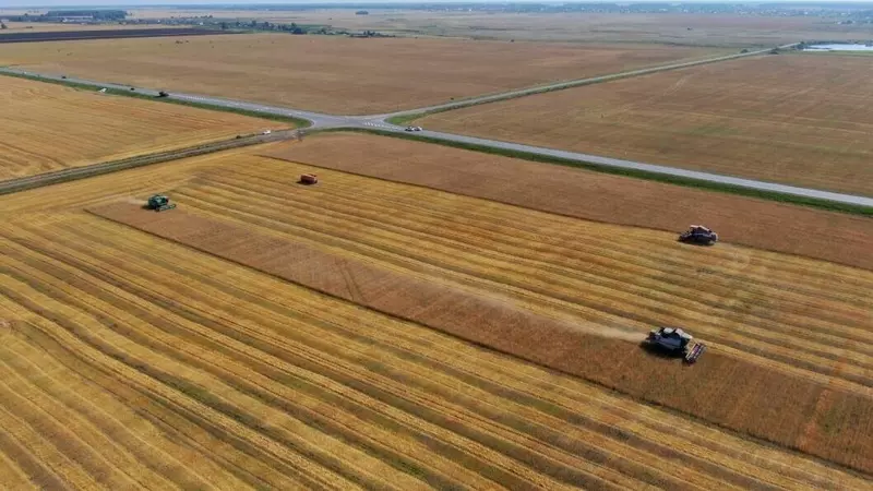 Иркутская и Тюменская области добились рекордного урожая в 2025 году