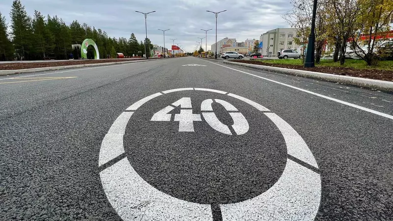 Иллюстрация 46 для «Ямальский меридиан 17»