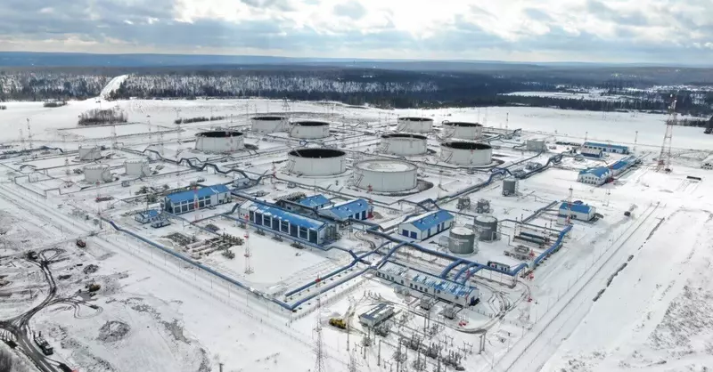 Фото #18 для новости «Новая экономика Прибайкалья часть 2»