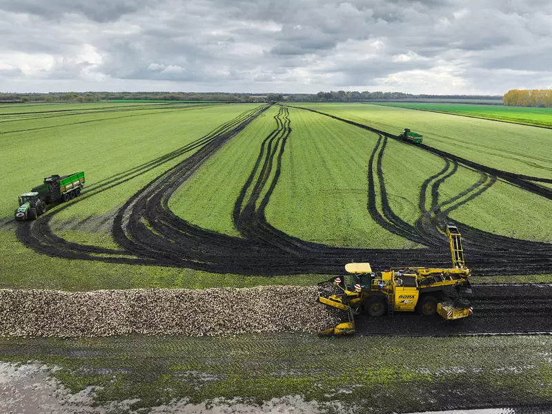 Картинка #15 для «Сахара хватит на всех или как его производят на предприятиях ГК Продимекс»