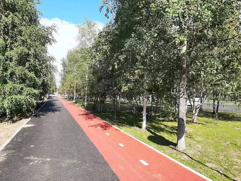 Ул.В.Цоя (фото автора)