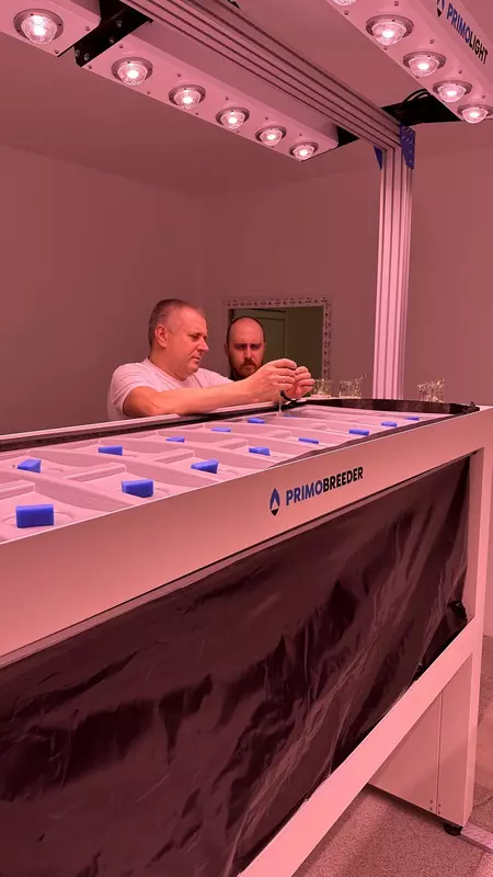 Картинка №3 для статьи «Меристема: Платформа Меристема запущена в Челябинске»