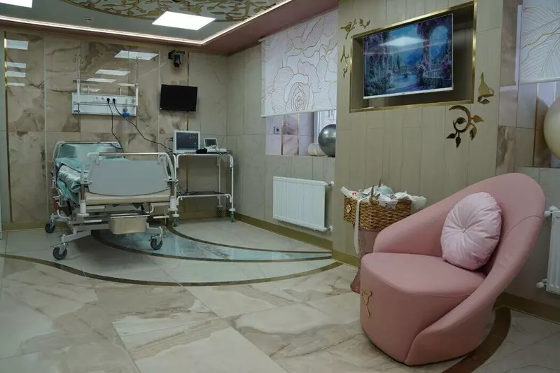 №2 для новости «Свердловская область: Роддом с уникальными дизайнерскими палатами открыли в Первоуральске Свердловской области»