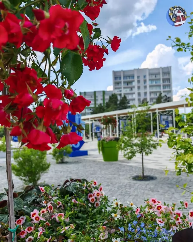 Изображение 8 для «Ямал встречает юбилеи опорных городов»