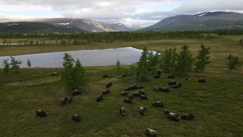 Изображение №39 для поста «Развитие Сибири часть 11»