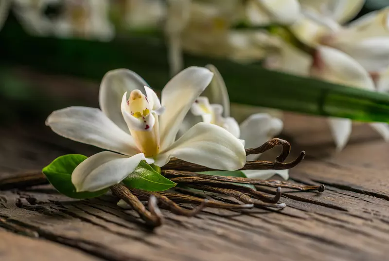 ГК Союзснаб впервые в России освоила технологию синтеза ванилина