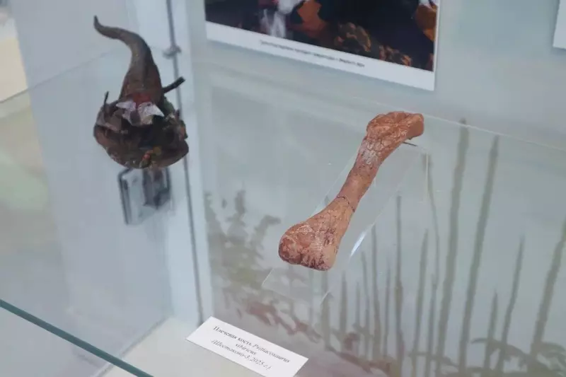 Картинка 2 для новости «Кузбасс: В Кузбассе обнаружили уникальный янтарь возрастом более 100 млн лет»