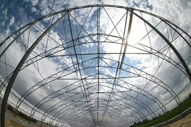 Изображение #11 для поста «Тюменское предприятие запустило линию по посадке семян хвойных деревьев»