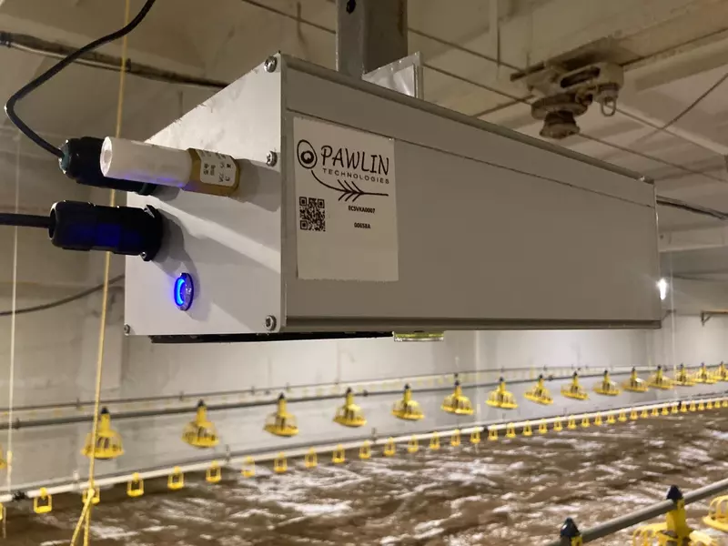 Устройство "Зоовизор" в птичнике.