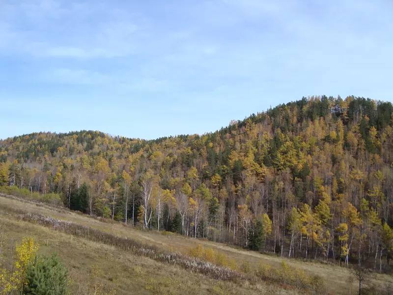 Иллюстрация №16 для «День Байкала»