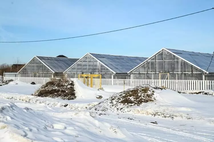 Фото #23 для статьи «Тюменское импортозамещение часть 6»