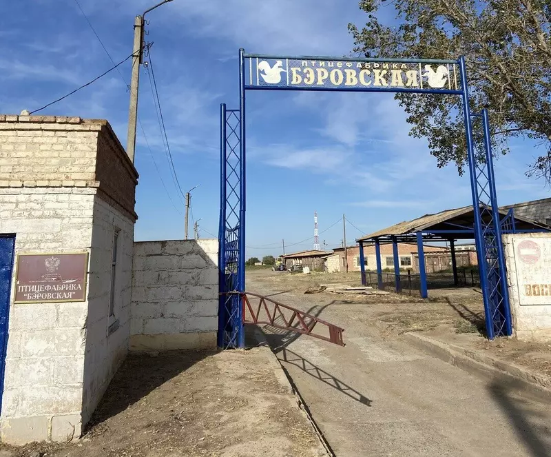 №2 для новости «птицеводство: В Астраханской области вновь заработала старая птицефабрика»