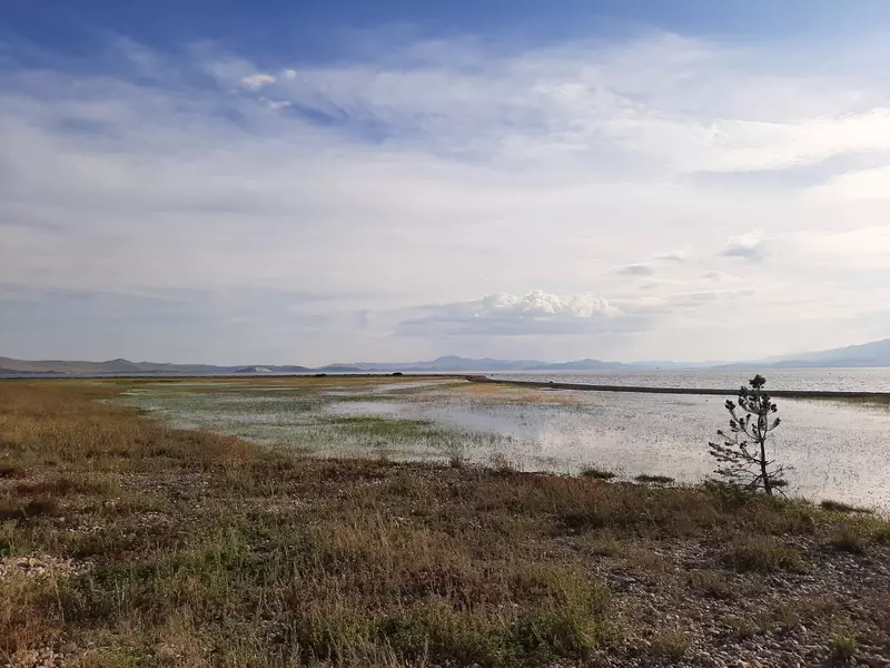 36 для «День Байкала»