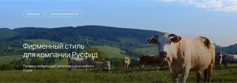Провели ребрендинг логотипа и фирменного стиля для компании Русфид