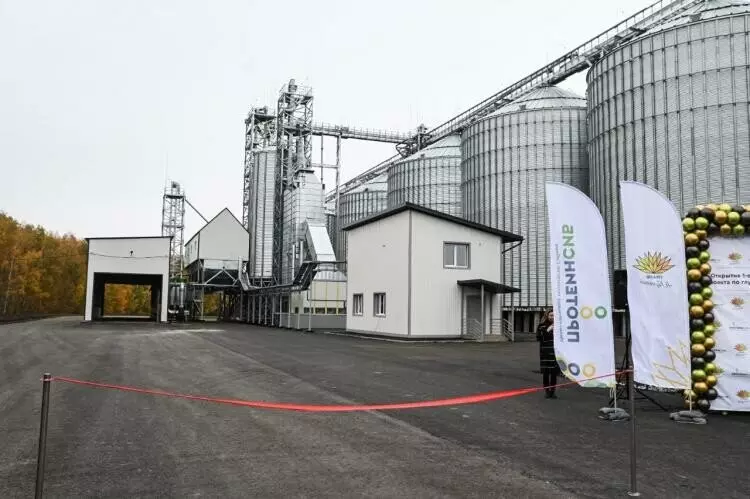 Иллюстрация №1 для поста «Новые и модернизированные предприятия агропрома: В Тюменской области открылся завод по глубокой переработке гороха»