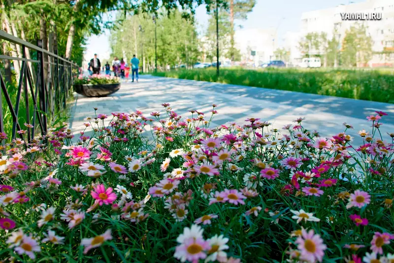 №25 для поста «Ямальский меридиан 14»