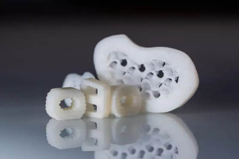 В Курчатовском институте создали индивидуальные полимерные имплантаты биоразлагаемые кейджи