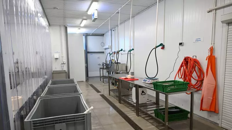 Фото №3 для публикации «ЯНАО: Новый рыбоперерабатывающий цех начал работать на Ямале»