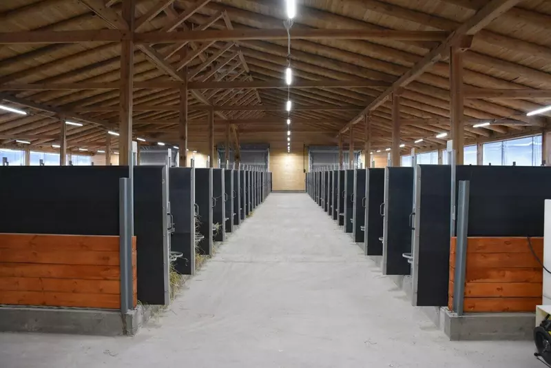 Фото #3 для «животноводство: В Архангельской области открыт новый телятник»