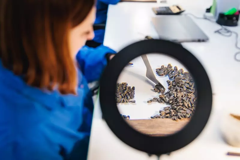 Изображение №3 для новости «семена: Предприятия ОЭЗ Липецк обеспечивают аграриев региона семенами и средствами защиты растений»