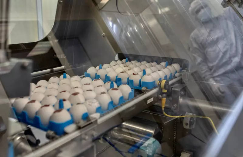 Изображение 17 для статьи «СПбНИИВС ФМБА 84 года на страже здоровья россиян»